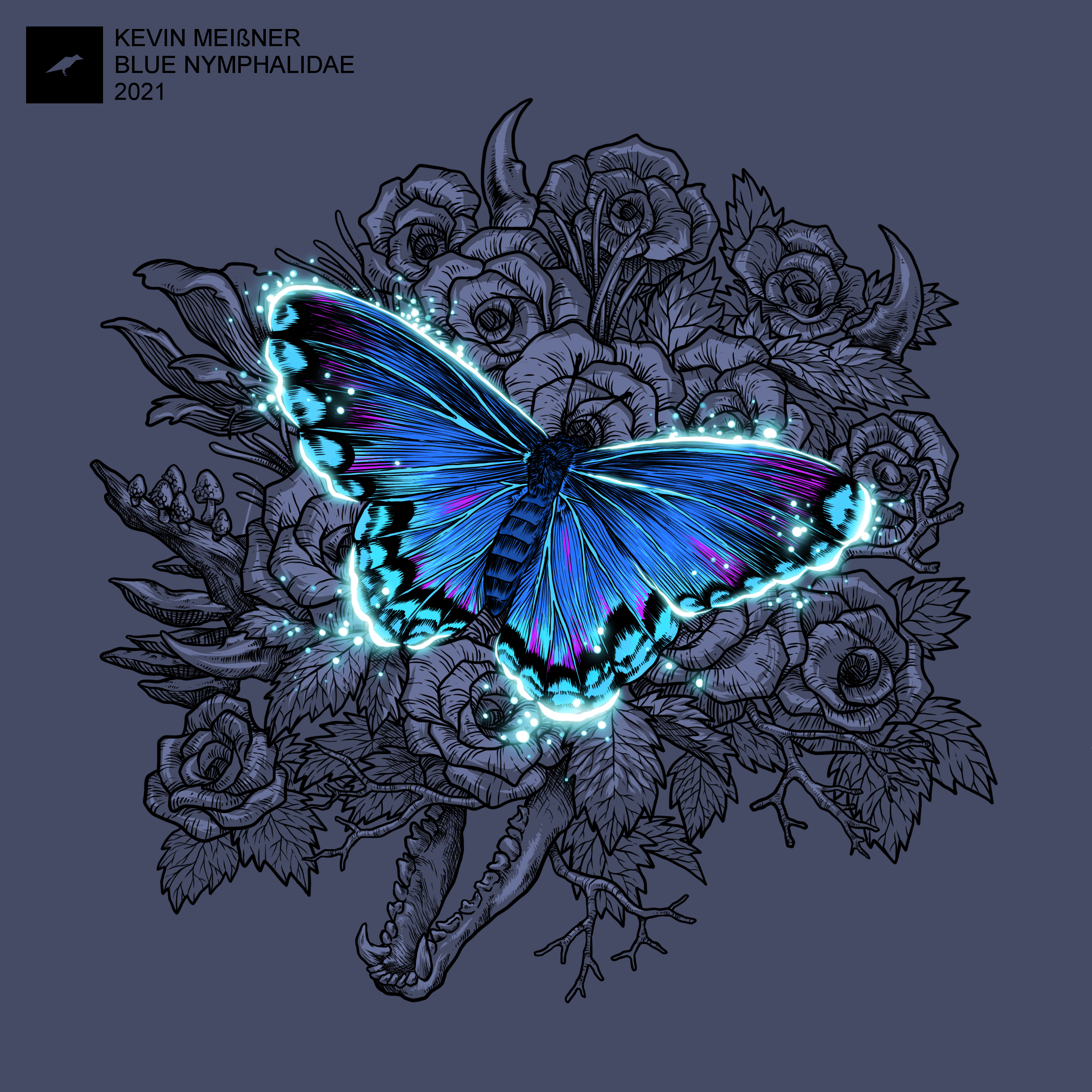 Kevin Meißner Blue Nymphalidae Cover art